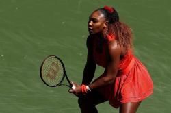 爱游戏体育- 蒂姆现状 