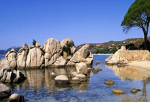 爱游戏体育-关于Uzi新星表现优异表现突出，老鹰前途光明！的信息